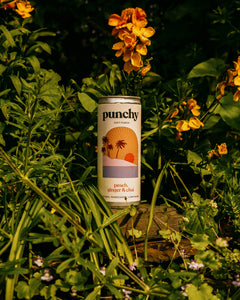Holiday Romance - Peach, Ginger & Chai Punch, 250ml