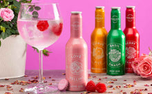 Load image into Gallery viewer, Love Bellini Love Gin Cocktail, 250ml
